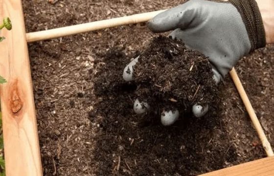 包装材料工业堆肥性能测试