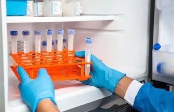 冷链包装温度保持测试