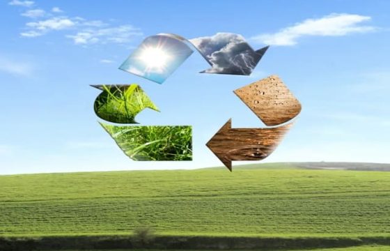 生物降解包装材料的性能局限有哪些？