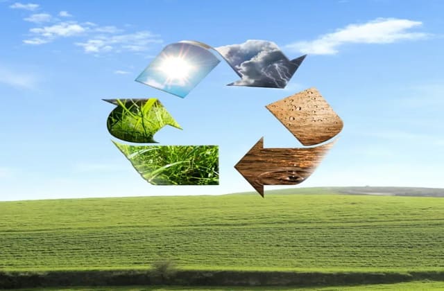 生物降解包装材料的性能局限有哪些?